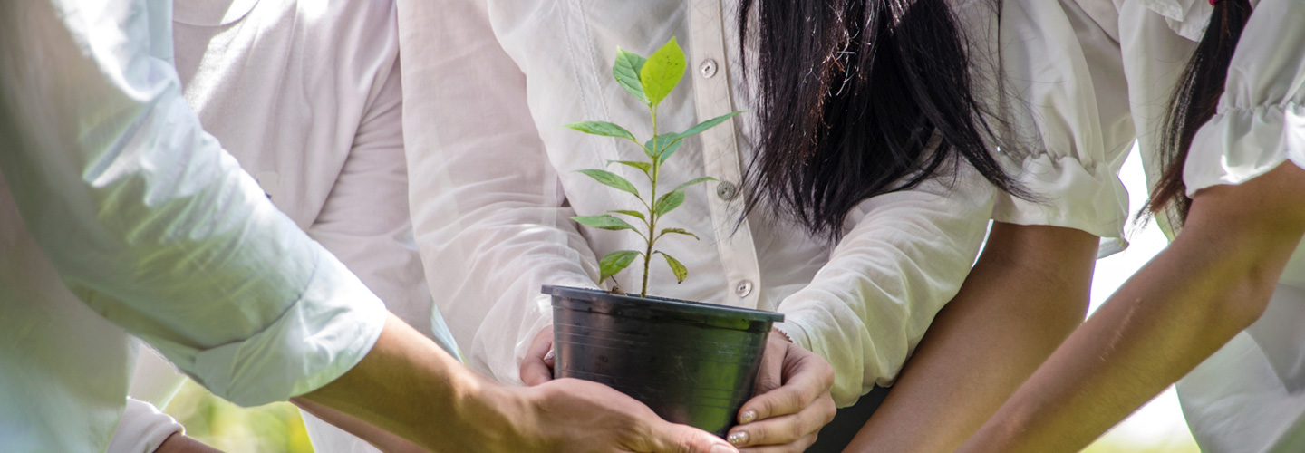 Corporate Responsibility and Sustainability Corporate Responsibility and Sustainability
